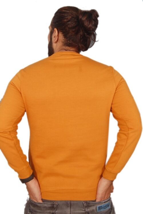 Men sweatshirt