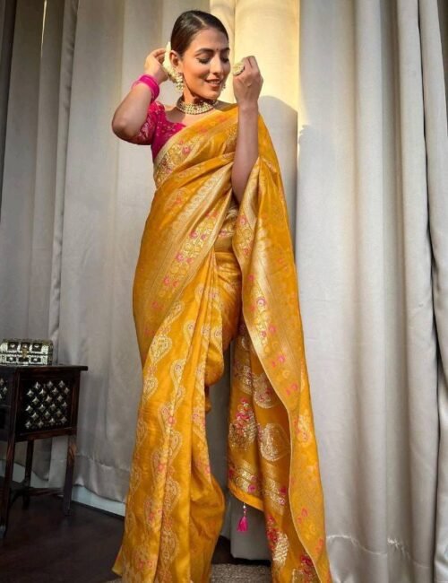 RaniOrganic Banarasi Sarees - Image 5