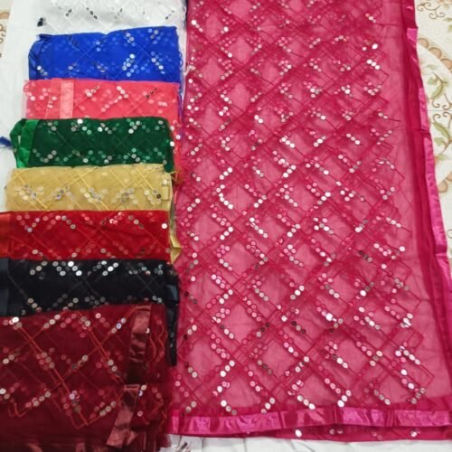 Net sitara dupatta