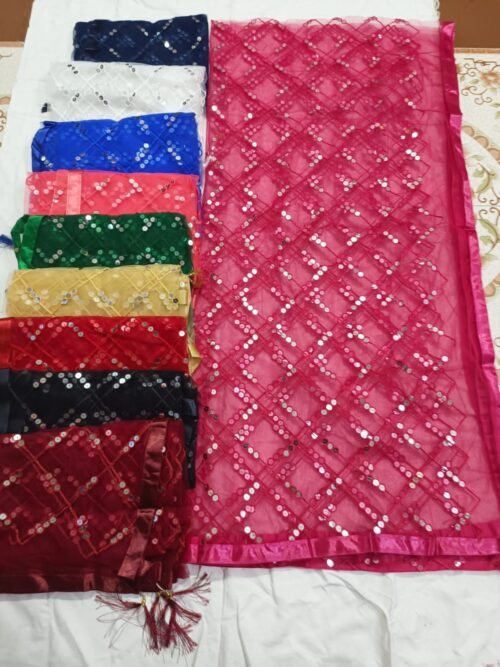 Net sitara dupatta