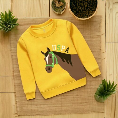 HIGH PREMIUM QUALITY BOYS SWEATSHIRT - Image 2