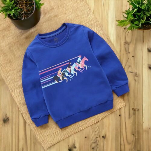 HIGH PREMIUM QUALITY BOYS SWEATSHIRT - Image 12