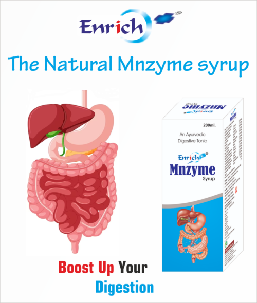 ENRICH PLUS MNZYME SYRUP AN AYURVEDIC DIGESTIVE TONIC (PACK OF 1) - Image 2