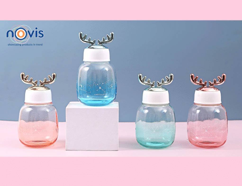 Glass Water Bottle 2 Water Bottle