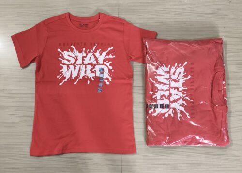 PREMIUM QUALITY BRANDED BIG BOYS TSHIRT - Image 4
