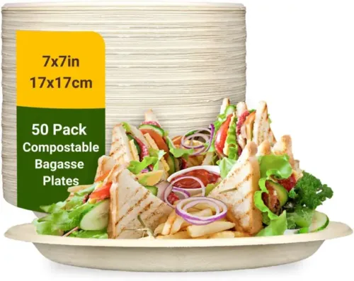 NAGAIKKADAI disposable 7 inch plate Dinner Plate (Pack of 50, Microwave Safe)