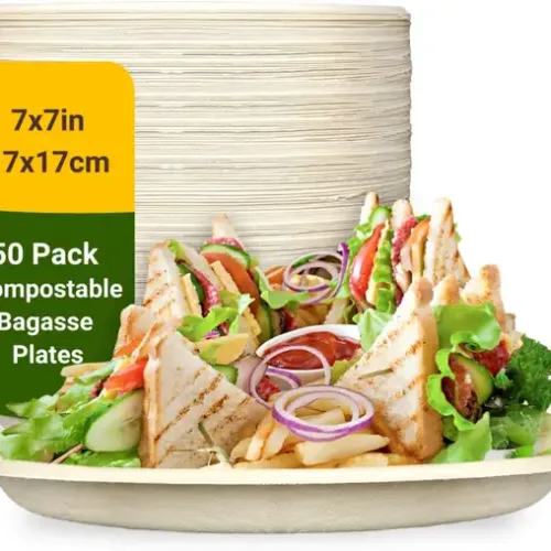 NAGAIKKADAI disposable 7 inch plate Dinner Plate (Pack of 50, Microwave Safe)