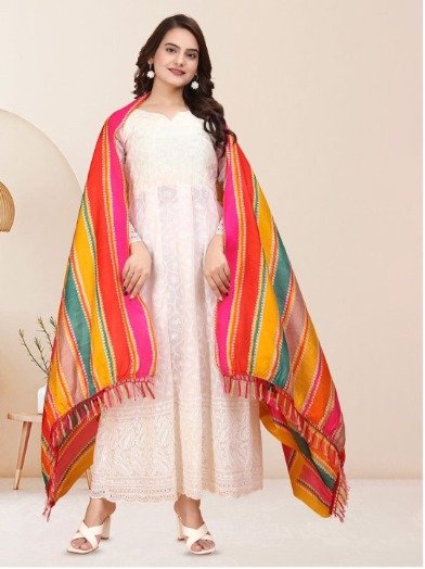 Heavy Chikan Anarkali Gown with colourful dupatta wholesale 2 Heavy Chikan Anarkali Gown with colourful dupatta wholesale
