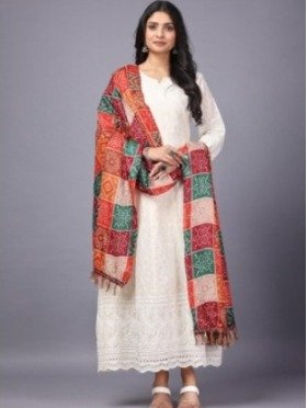 Heavy Chikan Anarkali Gown with colourful dupatta wholesale 5 Heavy Chikan Anarkali Gown with colourful dupatta wholesale - Image 4