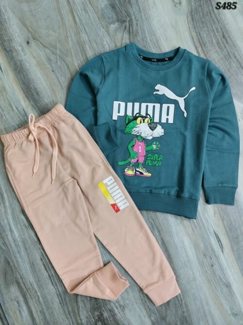 PREMIUM QUALITY PRINTED KIDS WINTER SWEATSHIRT AND TRACKSUIT WHOLESALE - Image 14