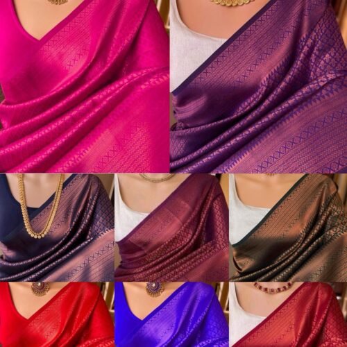 WhatsApp Image 2025 10 29 at 4.13.06 PM | VastrMitr