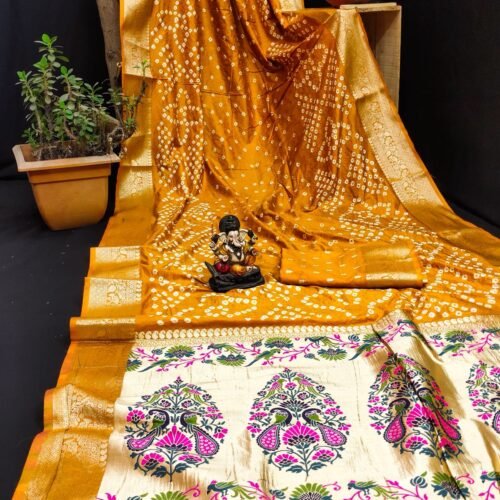 IMG 20251118 WA1296 | VastrMitr