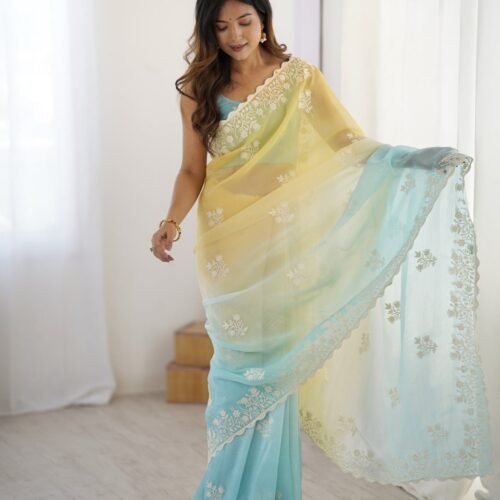 IMG 20251124 WA1234 | VastrMitr