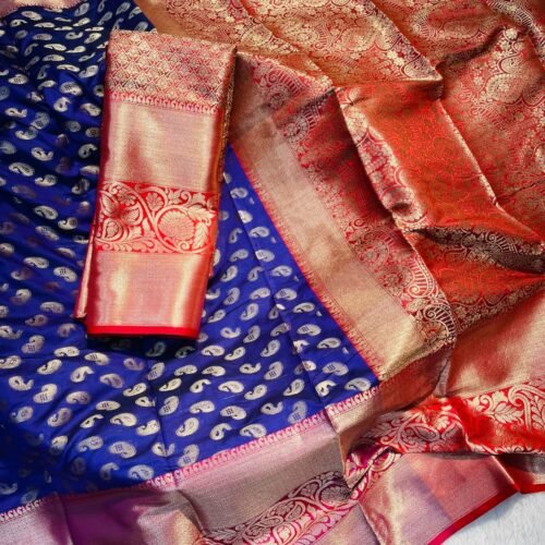 WhatsApp Image 2026 01 01 at 12.23.48 PM 1 | VastrMitr