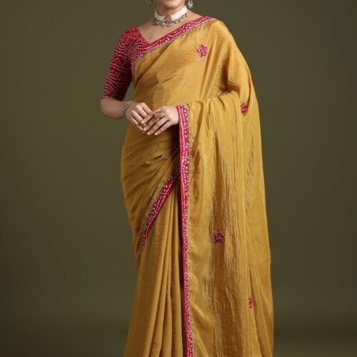 WhatsApp Image 2026 01 01 at 12.48.00 PM | VastrMitr